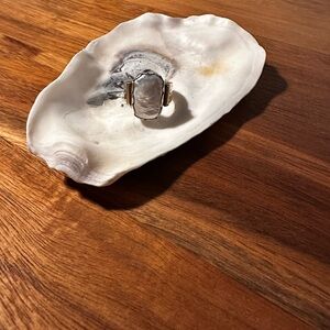 Elegant Silver/Brass + Mother of Pearl Ring